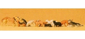 PR14165 Chiens et chats