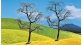 faller 181224 Arbres Denudes Premium