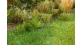 Modélisme ferroviaire : FALLER F170769 - Herbe haute