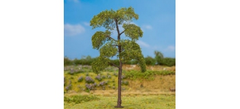 Modélisme ferroviaire : FALLER F181177 - Premium Peuplier noir 140 mm