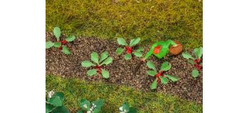 Modélisme ferroviaire : FALLER F181273 - Plants de Rhubarbe