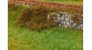 Modélisme ferroviaire : FALLER F181617 - Feuillage terrain plusieurs couleurs