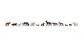 Modélisme ferroviaire : FALLER F155327 - Chiens et chats N Figurines