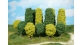 4 arbres, vert clair, 6-7 cm