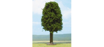 Feuillu, 20 cm (LGB)