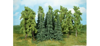 14 feuillus, 14-16 cm