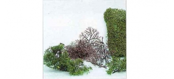 Heki 1530 15 buissons à monter, 2-6 cm