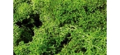 heki 3219 Lichen vert clair, 75g