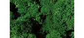 Heki 3211 lichen mousse islande