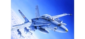 Maquettes : ITALERI I016 - F/A-18C/D Wild Weasel 