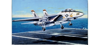 Maquettes : ITALERI I1156 - F-14A Tomcat 