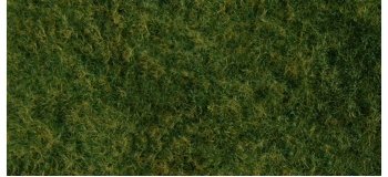 Noch – Foliage D’herbes Sauvages – Vert Foncé – Pour Maquettes Ferroviaires