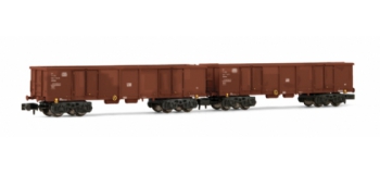 Set de 2 wagons tombereau EAOS DB