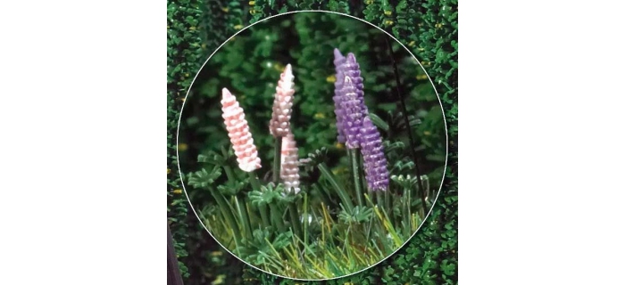 busch 1217 LUPINS POUR LISIERES