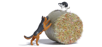 BU7920 - Chien chasse chat - Busch