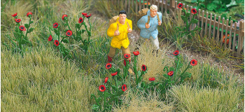 BU1255 - Pavots - Busch