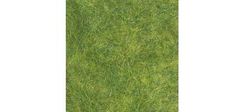 HERBAGE VERT PRINTEMPS     UV= 5