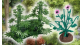 busch 1250 plantes miniatures