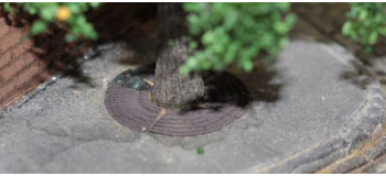 DECA5710 - Grilles d'arbre parisiennes - Decapod