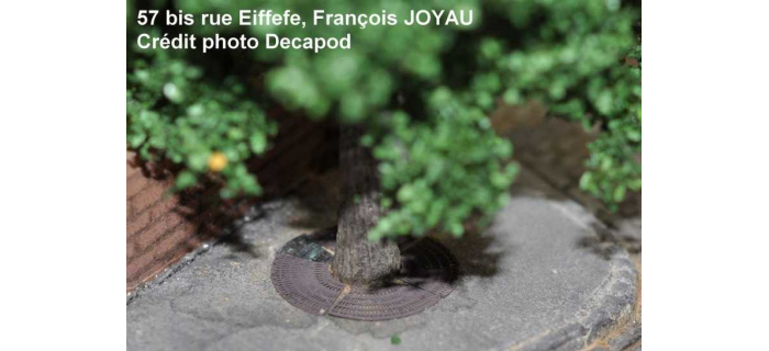 DECA5710 - Grilles d'arbre parisiennes - Decapod