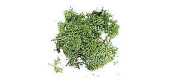 DOMU03904 - Lichen vert, 12g - Domus