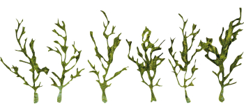 F171839 - Plantes grimpantes vertes, Premium - Faller