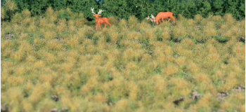 HE1881 - Herbe structurée sol d'automne, 190 x 300 mm - Heki
