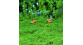 HE1883 - Herbe structurée sol de prairie vert foncé, 190 x 300 mm - Heki