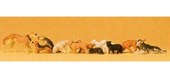 PR14165 Chiens et chats