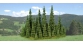 Modélisme ferroviaire : HEKI HE1790 - 13 sapins à piquer 7-18 cm