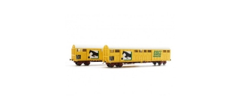 Modélisme ferroviaire : LSModel - LSM 30086 - Coffret de 2 wagons Gakkss livrée jaune FRET vert avec logo cheval	
