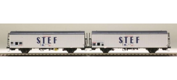 Modélisme ferroviaire : LS Model - LSM30238 - Coffret de 2 wagons 