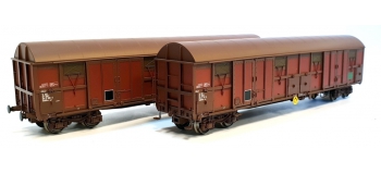 Modélisme ferroviaire : LSModel - LSM 30339 - Coffret de 2 wagons Coffret de 2 wagons Gahkkss livrée rouge UIC deux tons avec logo vert FRET et logo blanc FRET