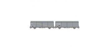 Modelisme ferroviaire LSMODEL LSM30645 - Coffret de 2 wagons couvert EVS 