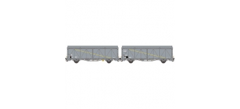 Modelisme ferroviaire : LSMODEL LSM30646 - Coffret de 2 wagons couvert EVS 