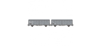 Modelisme ferroviaire : LSMODEL LSM30647 - Coffret de 2 wagons couvert EVS 