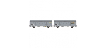 Modelisme ferroviaire :  LSMODEL LSM30648 - Coffret de 2 wagons couvert EVS 