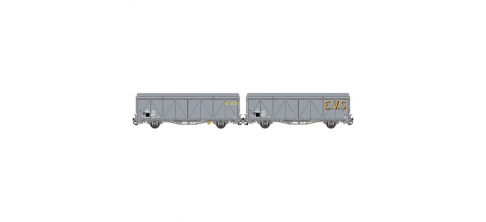 Wagon Hs EVS  Toit Haut  Gris, Bande Jaune, Parois Renforcées, Parois D About Normales Lsm 30676