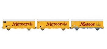 Modelisme ferroviaire LSMODEL LSM30651 - Coffret de 3 wagons couvert Hs EVS logo 