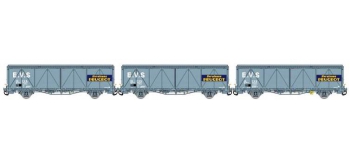 Modelisme ferroviaire LSMODEL LSM30653 - Coffret de 3 wagons couvert EVS livrée gris avec parois renforcées et logo 