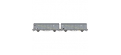Modelisme ferroviaire : LSMODEL LSM30659 - Coffret de 2 wagons couvert EVS 