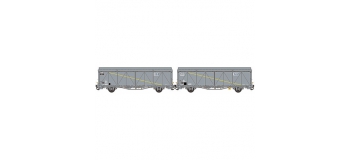 Modelisme ferroviaire : LSMODEL LSM30659 - Coffret de 2 wagons couvert EVS 