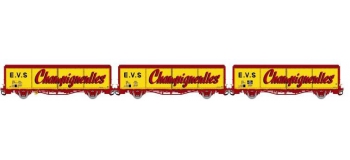 Modelisme ferroviaire LSMODEL LSM30661 - Coffret de 3 wagons couvert EVS livrée rouge/jaune avec parois planes et logo 