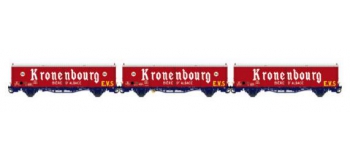 Modelisme ferroviaire LSMODEL LSM30668 - Coffret de 3 wagons couvert iK EVS logo 