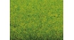 Modélisme ferroviaire : NOCH - Tapis d'herbes, gazon printanier (vert moyen)