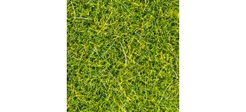 Train électrique : NOCH NO 07093 - Herbes sauvages vert jaune 100 g