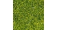  NOCH NO 07099 - Herbes sauvages XL vert foncé 80 g 