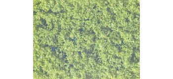 Train électrique : NOCH NO 07321- Flocage classique, vert clair 30 g