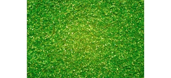 Modélisme ferroviaire : Flocage Vert clair 250 g 