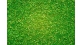 Modélisme ferroviaire : Flocage Vert clair 250 g 